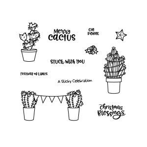 merry-cactus-new-